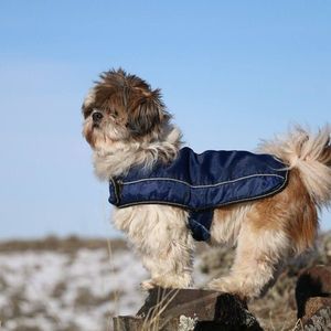 Meet your Posher, Ann